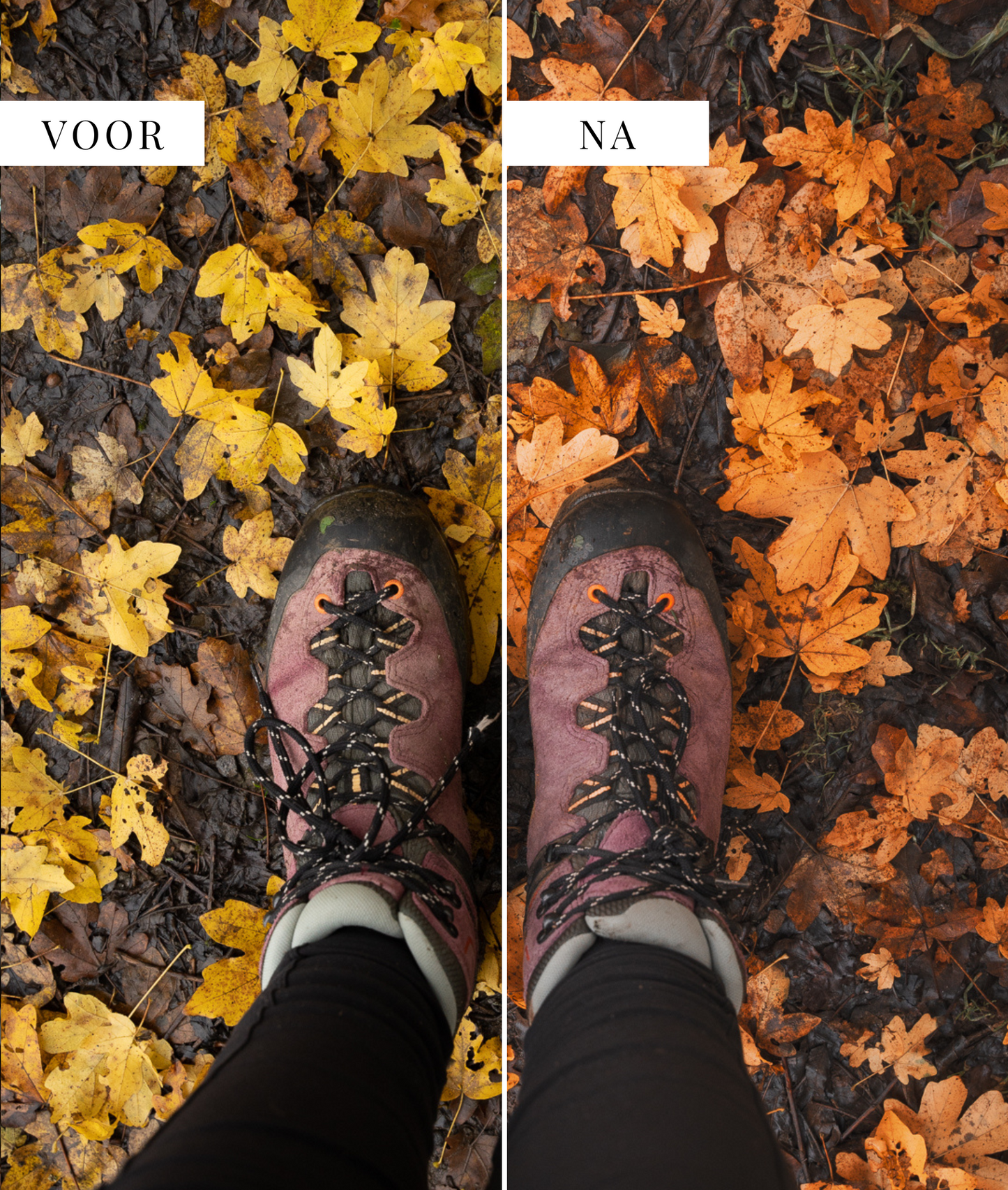 Warm & Moody - foto presets Lightroom Shehikesalone