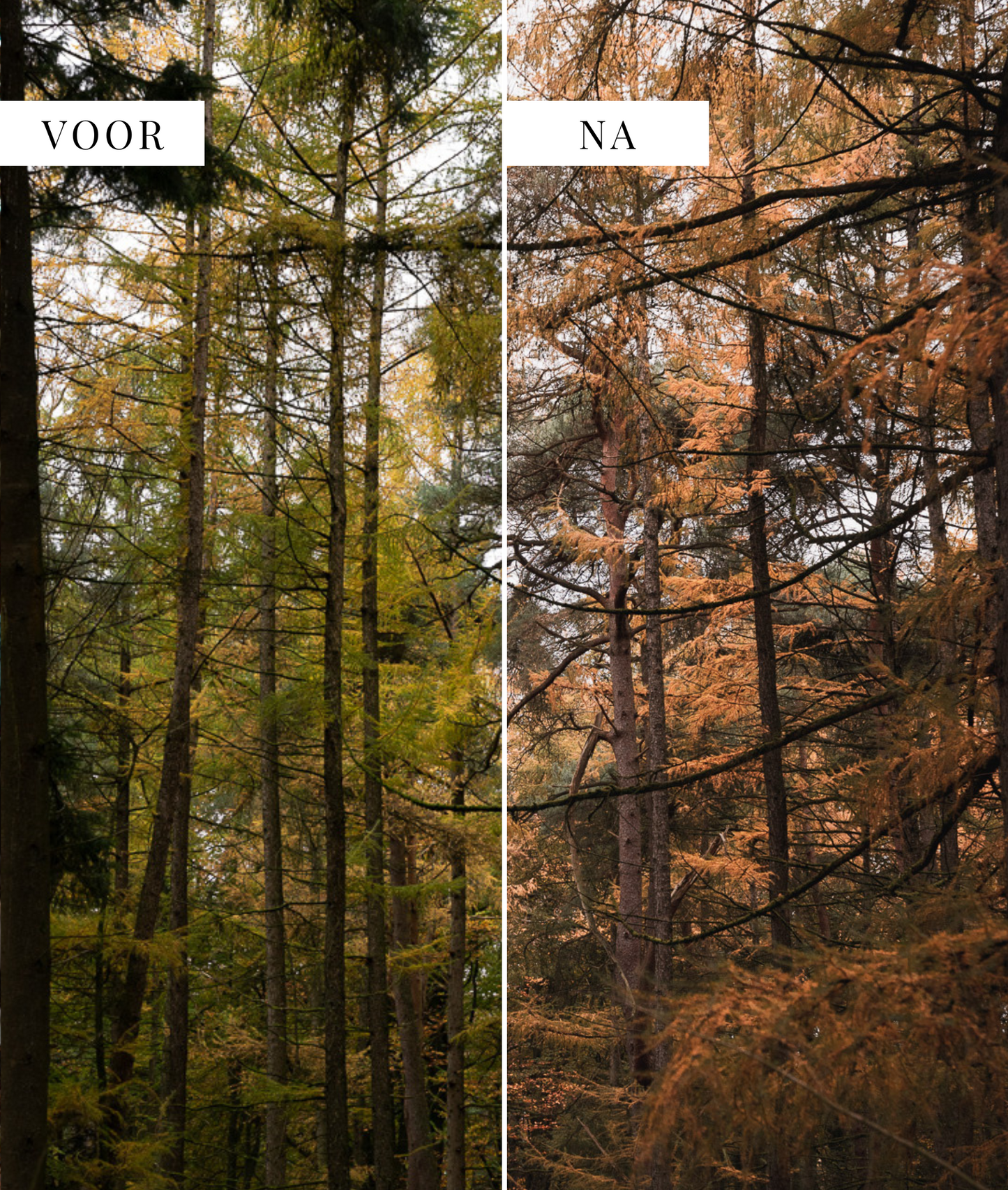 Warm & Moody - foto presets Lightroom Shehikesalone
