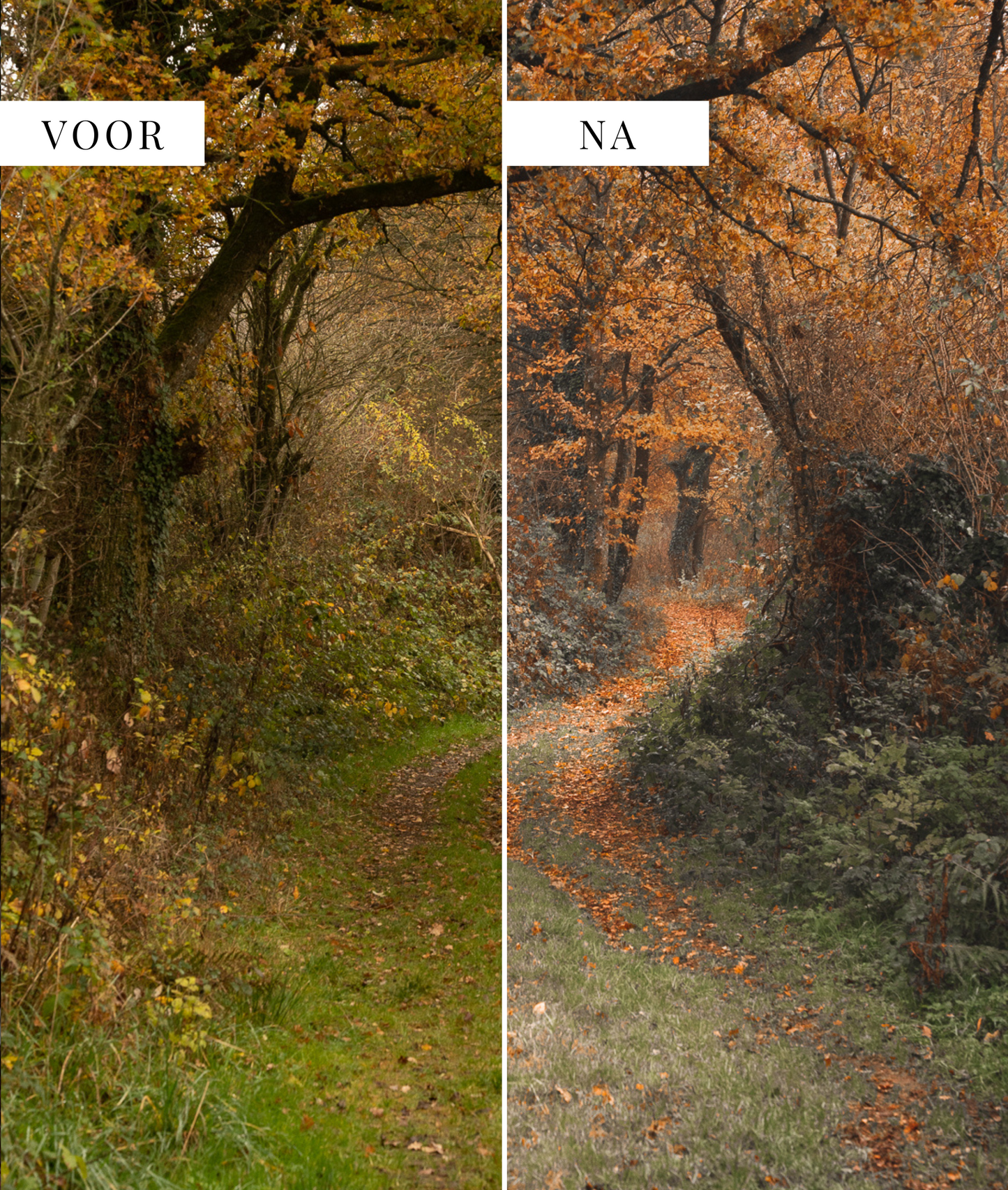 Warm & Moody - foto presets Lightroom Shehikesalone